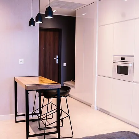 דירה Hanza Tower View 13th Floor שצ'צ'ין