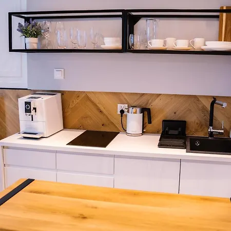 דירה Hanza Tower View 13th Floor שצ'צ'ין