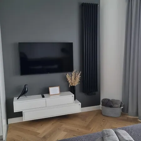 דירה Hanza Tower View 13th Floor שצ'צ'ין